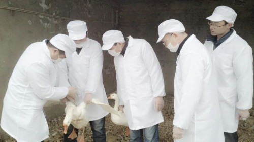 乐橙国际,湖南野生动物追踪,湖南卫星追踪器,湖南追踪器