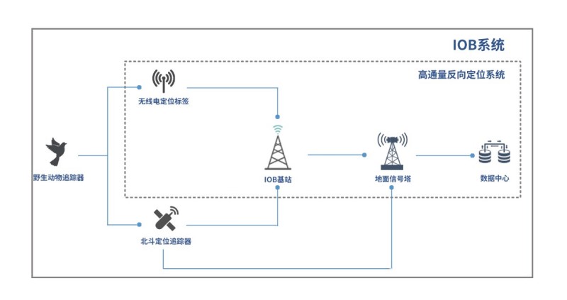 乐橙国际,湖南野生动物追踪,湖南卫星追踪器,湖南追踪器